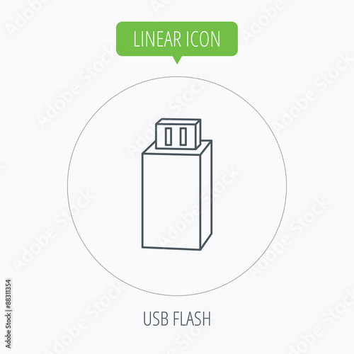 USB drive icon. Flash stick sign.
