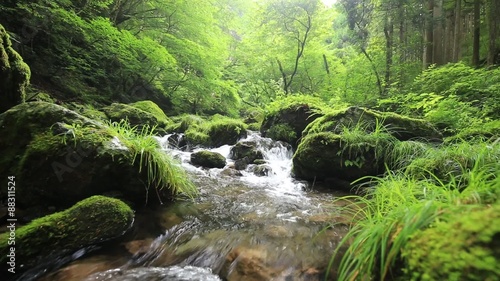 渓流と新緑（東京奥多摩の海澤の三滝） 右スライド