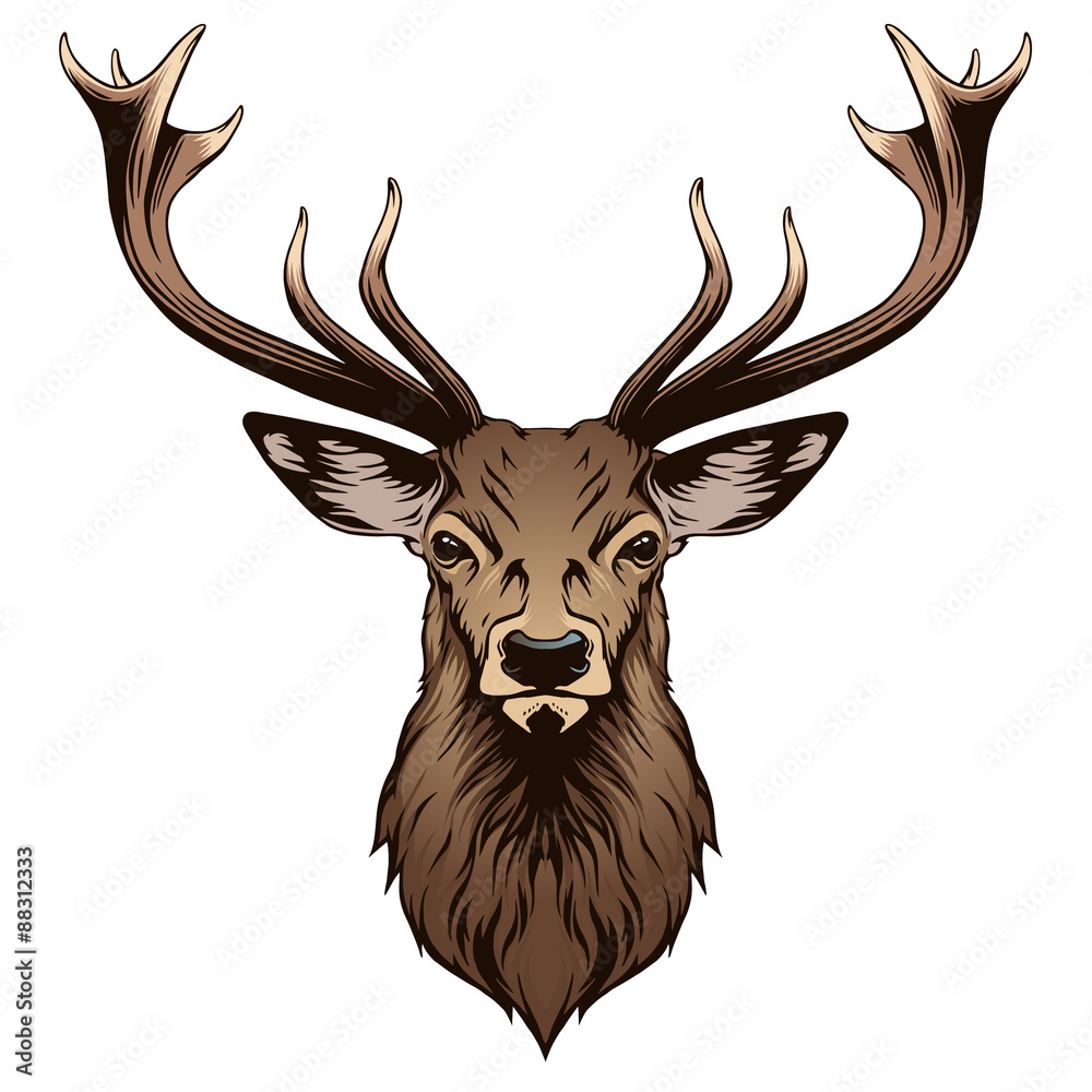 Obraz premium Głowa jelenia