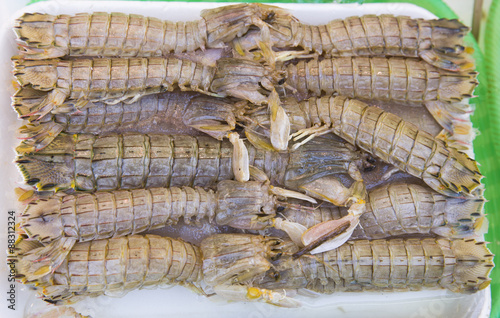 very fresh crustaceans called mantis shrimp for sale in fish mar photo