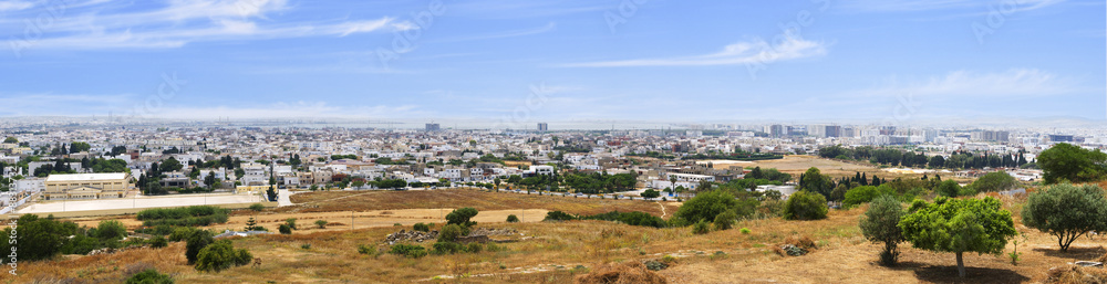 View of Tunis from the hill Beers