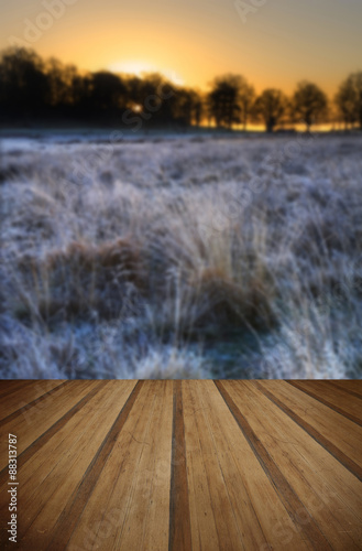 Frosty Winter landscape acr...