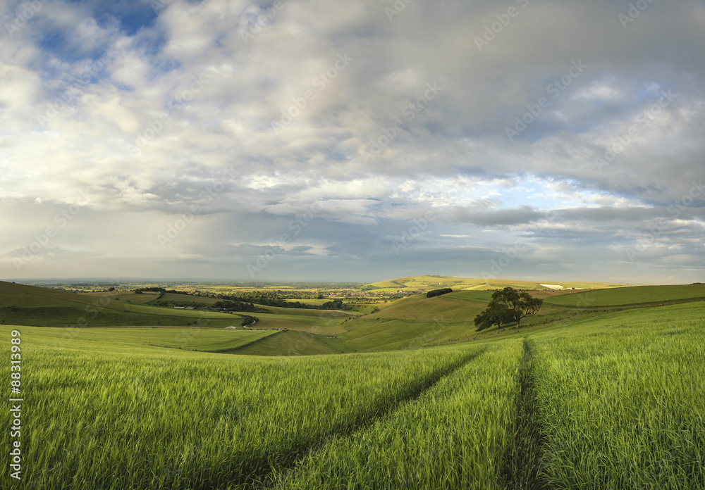 Beautiful panorama landscape South Downs countryside in Summer Beautiful panorama landscape South Downs countryside in Summer