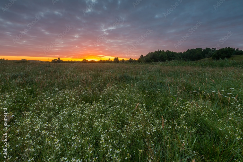 Cloudy sunrise over meadow