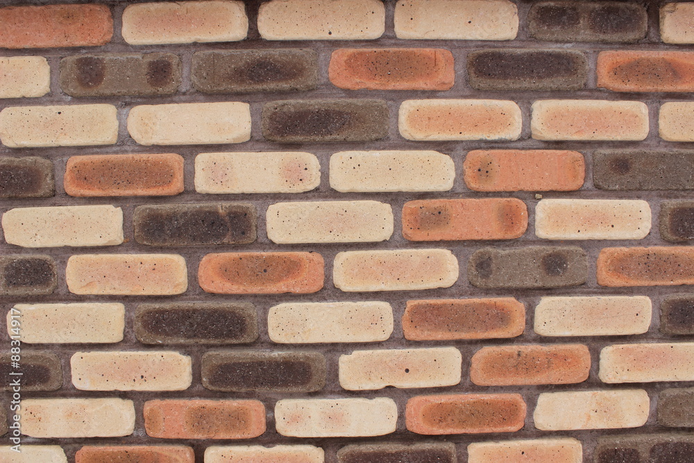 Obraz premium 담장