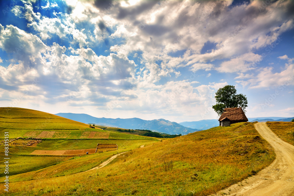 Naklejka premium harmony