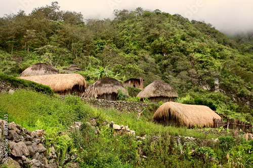 A traditional village in Papua photo