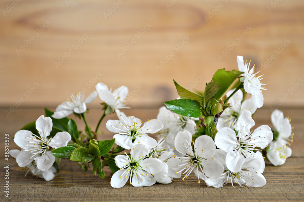 Spring flower branch on wooden background with copy space