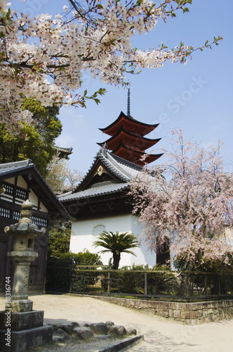 Spring cherry blossom at Senjokaku five storey pagoda, Miyajima island, Honshu Island, Japan #88316744