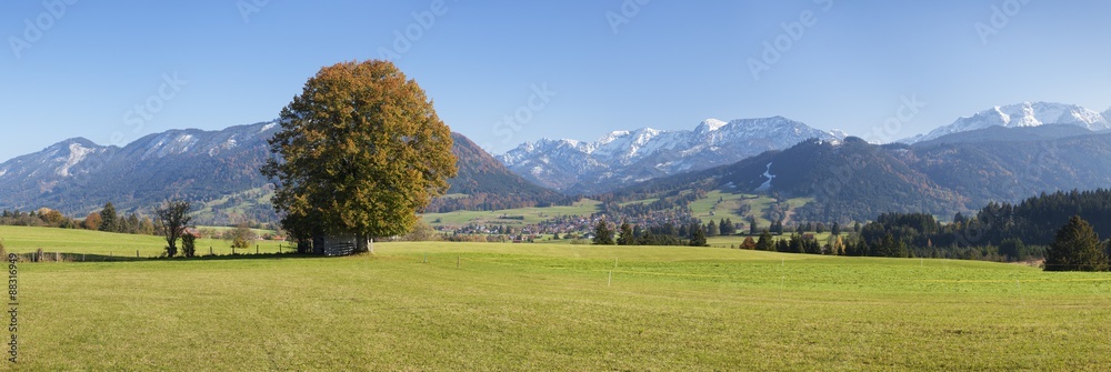 Single tree in Prealps landscape in autumn, Fussen, Ostallgau, Allgau, Allgau Alps, Bavaria, Germany Single tree in Prealps landscape in autumn, Fussen, Ostallgau, Allgau, Allgau Alps, Bavaria, Germany