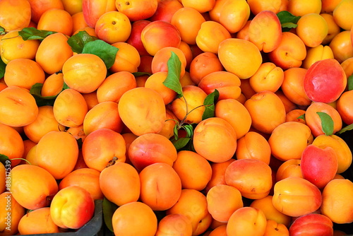 the apricots on the market
