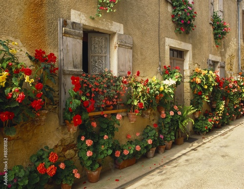Exterior of a Rustic House Covered with Flowers, Landes, Aquitaine, France #88318182