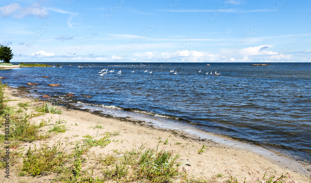 Coastal landscape by summer, Baltic Sea, Latvia