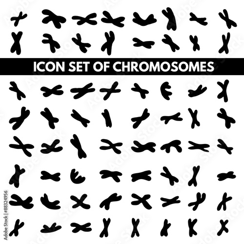 Fototapeta Naklejka Na Ścianę i Meble -  human chromosome