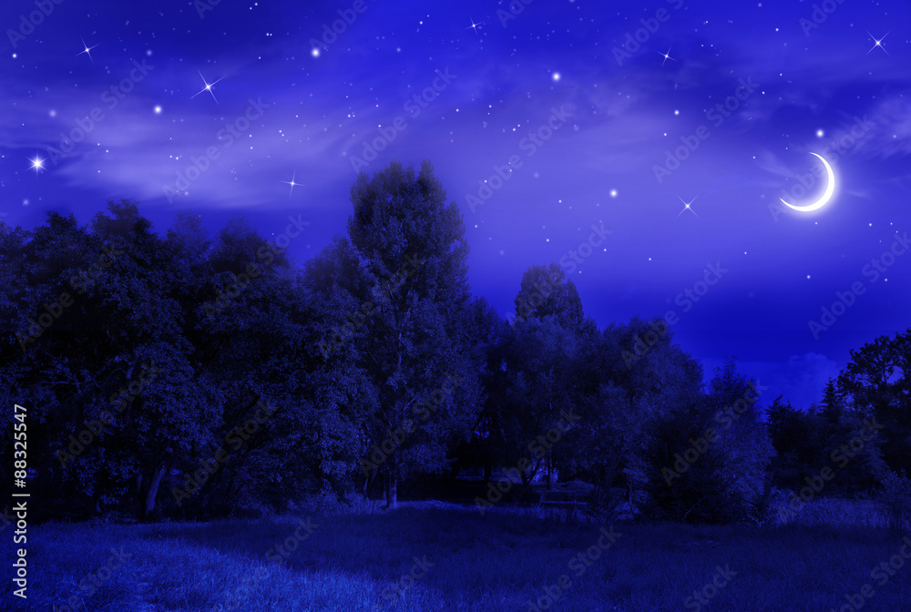 Naklejka premium beautiful night landscape