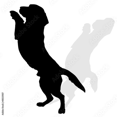 Vector silhouette of a dog.