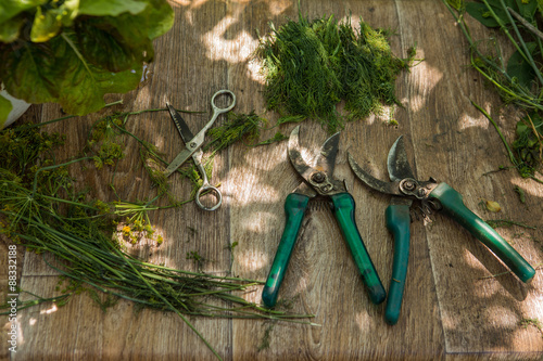 Gardening tools on old wooden background