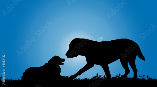 Vector silhouette of a dog.