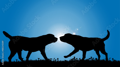 Vector silhouette of a dog.