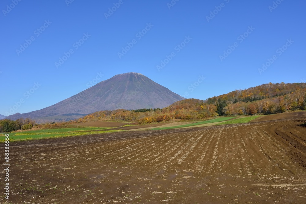 Fototapeta premium 羊蹄山周辺地域