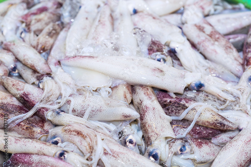 Fresh squid stack closeup at the seafood market