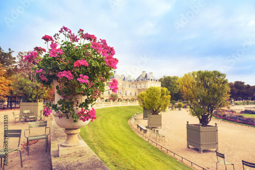 Flowers in  Luxembourg Gardens  Paris  France