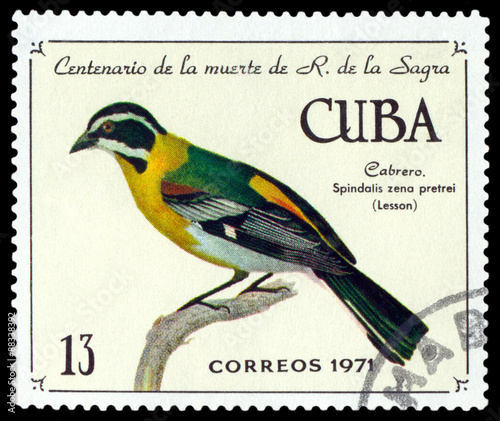 Stamp.  Bird Western spindalis. photo