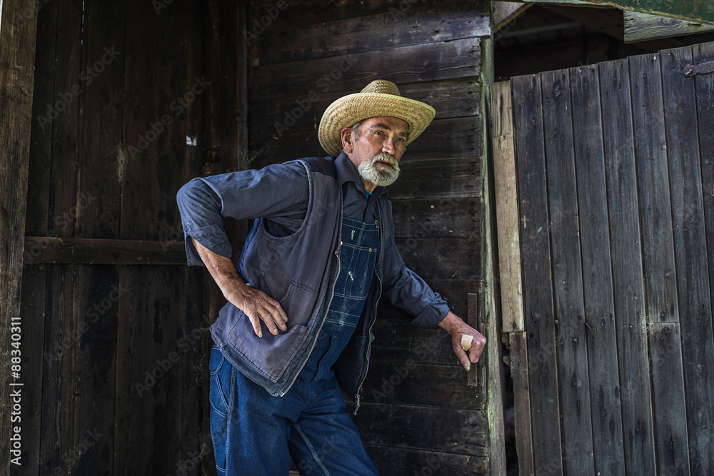 Naklejka premium Senior farmer or farmhand in a barn