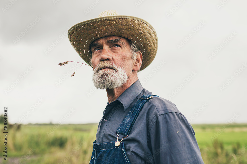 Φωτογραφία Thoughtful senior farmer chewing grass