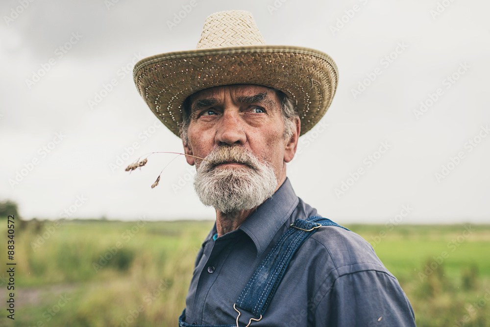 Thoughtful senior farmer chewing grass