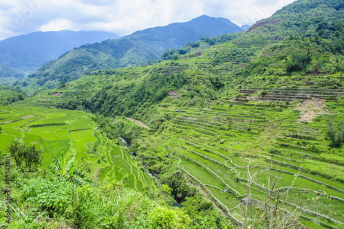 Wallpaper Mural Hapao rice terraces, Banaue, Luzon, Philippines Torontodigital.ca