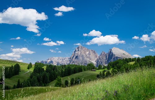 Panorama of Sella Group, Dolomiti,Trentino