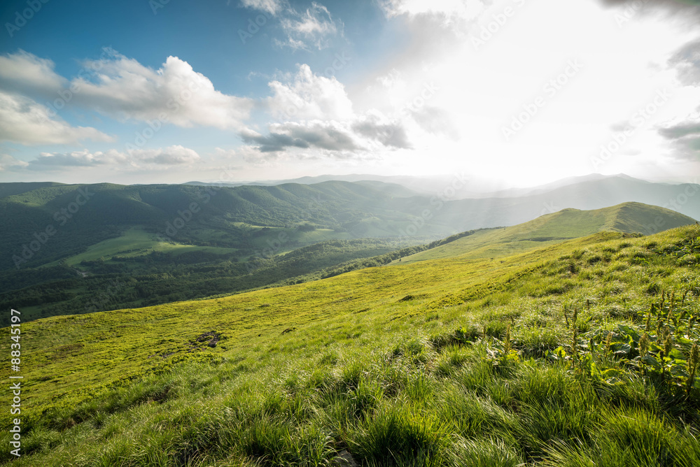 Obraz premium Połonina Caryńska