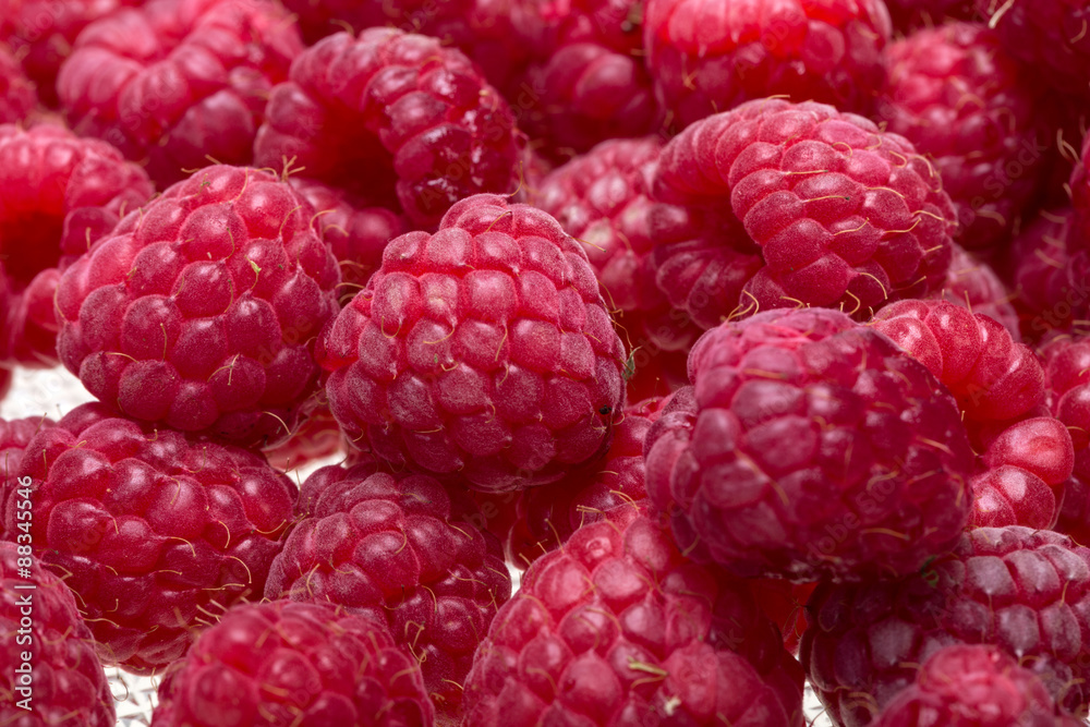 A beautiful selection of freshly picked ripe red raspberries. A beautiful selection of freshly picked ripe red raspberries.