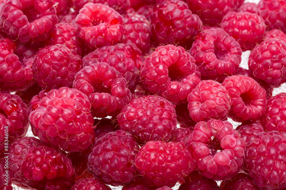 A beautiful selection of freshly picked ripe red raspberries. A beautiful selection of freshly picked ripe red raspberries.