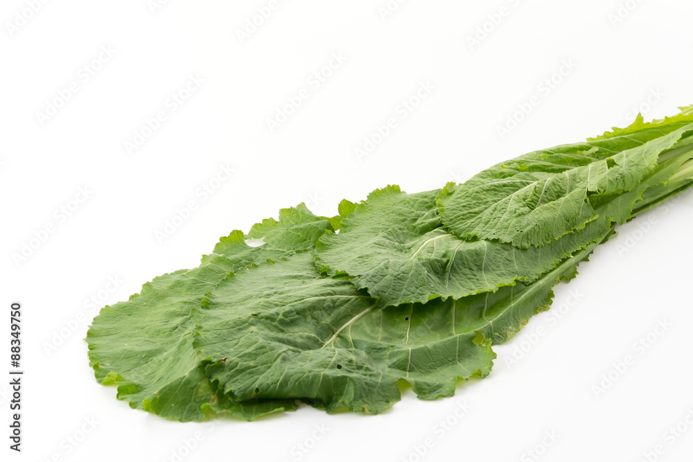 Chinese Spinach Chinese Spinach