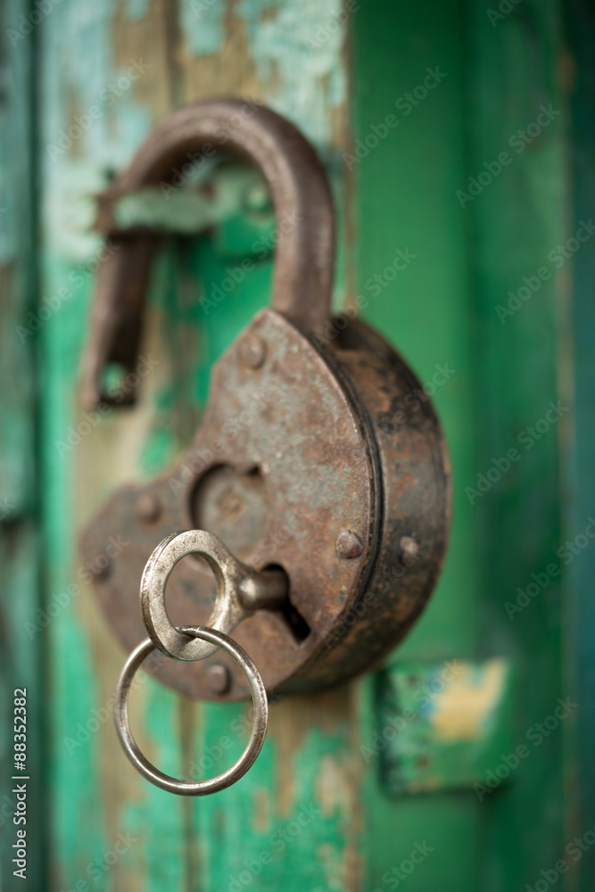 Fototapeta premium Old Wood Background