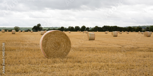 Summer Farm Scenery with Haystack on the Background of Beautiful Sunset. Agriculture Concept.