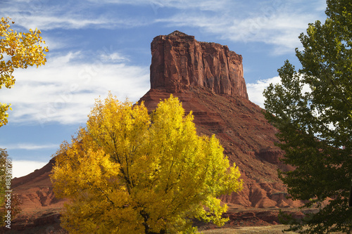Red sandstone butte with Cottonwood Trees turning color in the fall.Colorado River Recreation Area.near Moab,Utah
