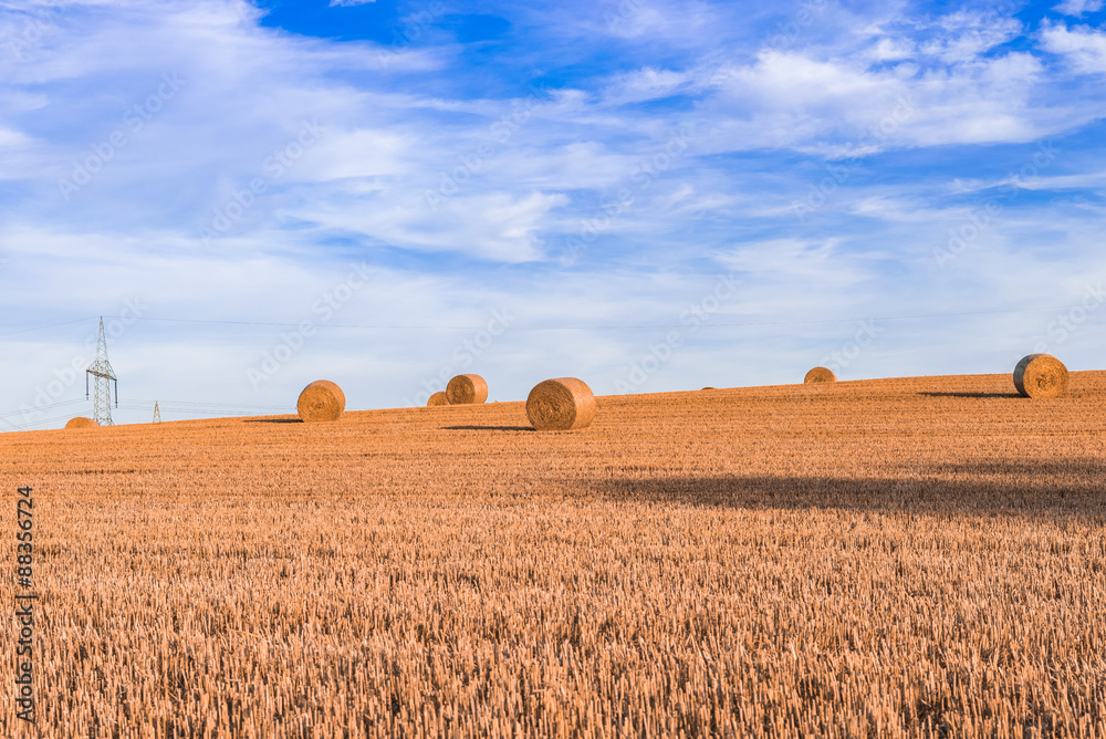 Fototapeta premium Runde Strohballen auf dem Feld