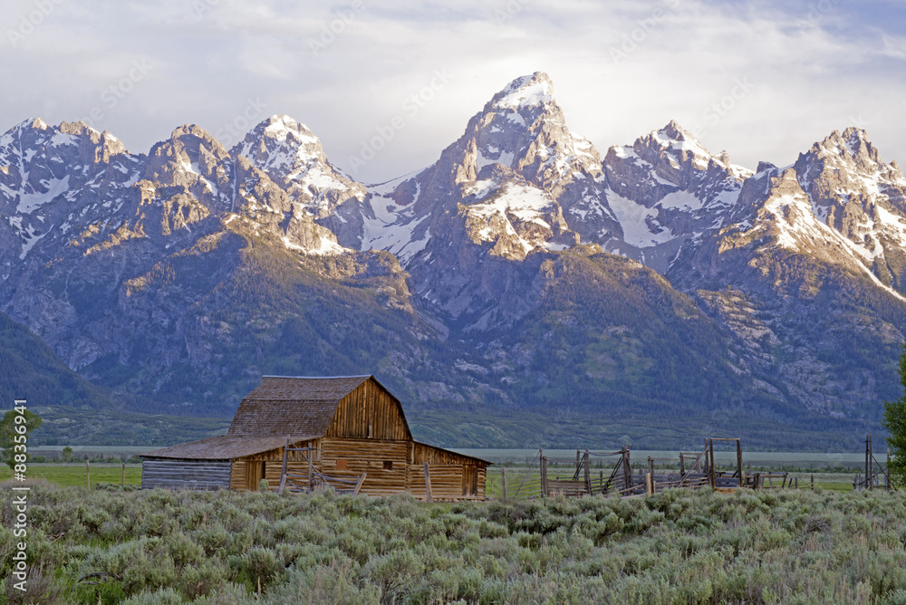 Old rustic barn icon in Grand Tetons morning light.