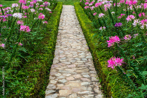 Footpath in the garden with beautiful flower