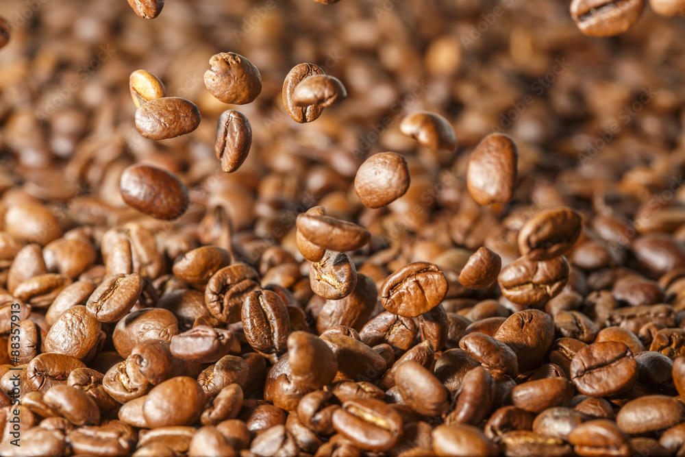 Fototapeta premium Kaffeebohnen, frisch geröstet
