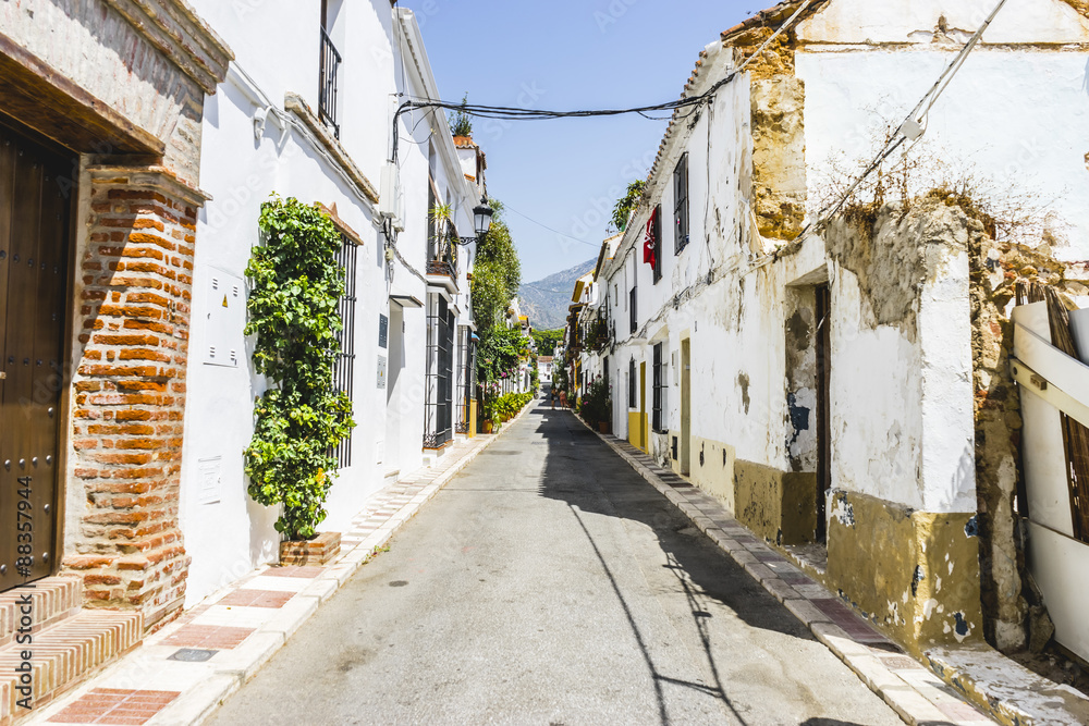 Marbella streets with flowers and plants in houses, Spain