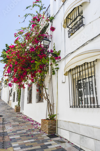 house typical of Andalusian architecture of Marbella  Spain