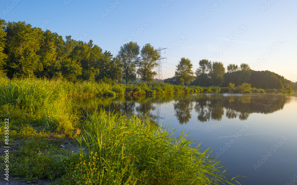 The shore of a lake at sunrise in summer