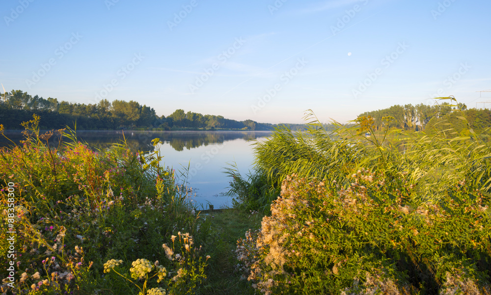 The shore of a lake at sunrise in summer The shore of a lake at sunrise in summer