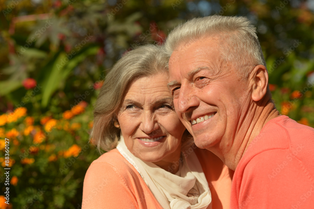 Beautiful caucasian elderly couple