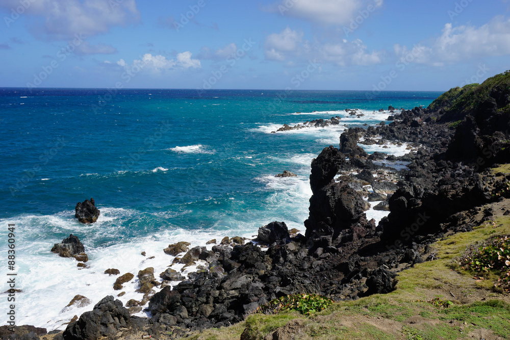 Atlantic coast, St. Kitts, St. Kitts and Nevis, Leeward Islands Atlantic coast, St. Kitts, St. Kitts and Nevis, Leeward Islands