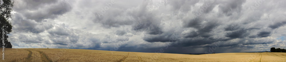 field and storm panorama
